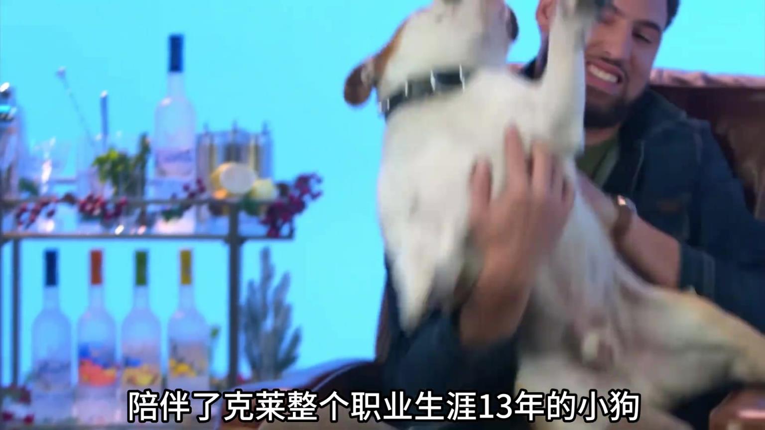 陪伴克萊13年的小狗去世了，不敢相信克萊得多么傷心
